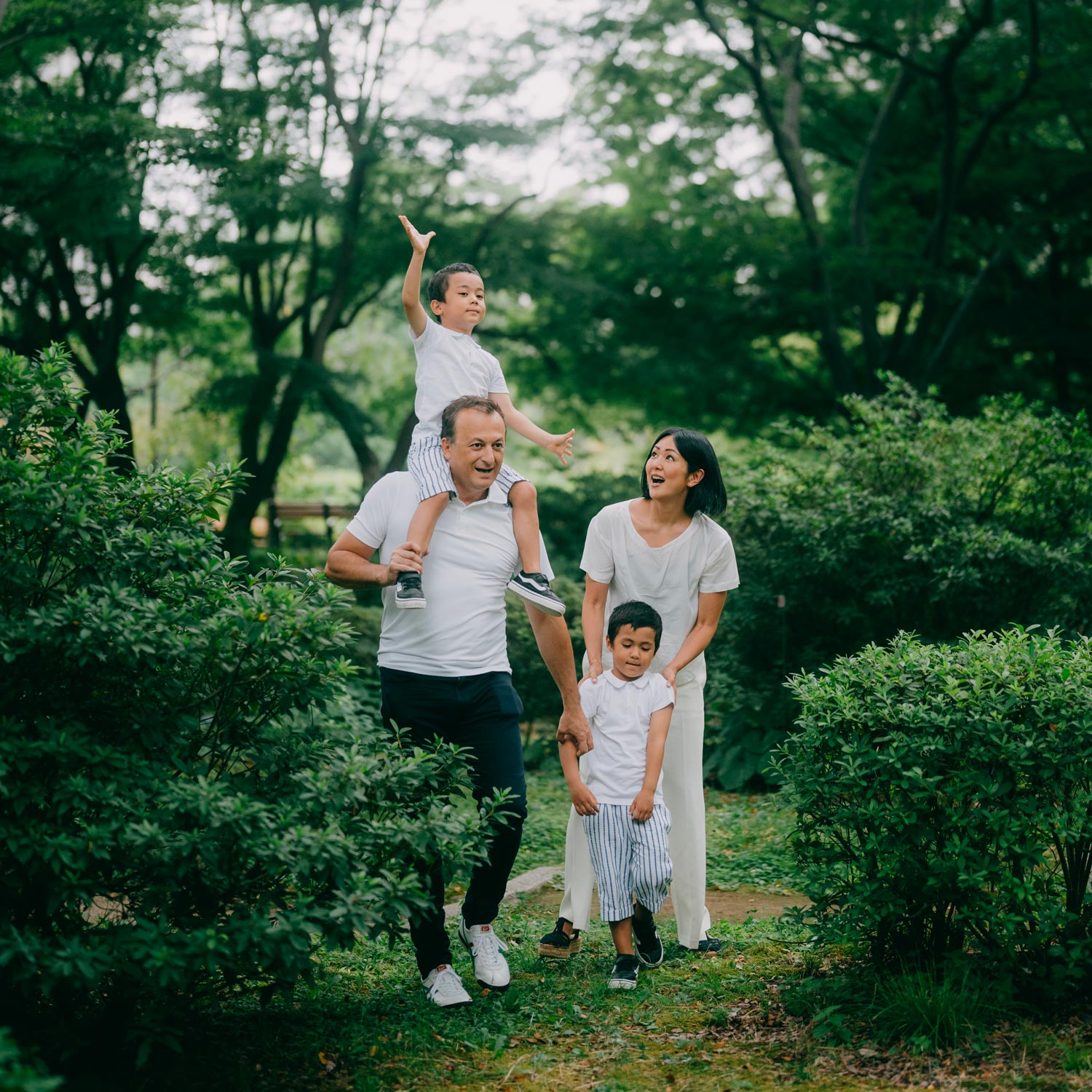 nembo-family
