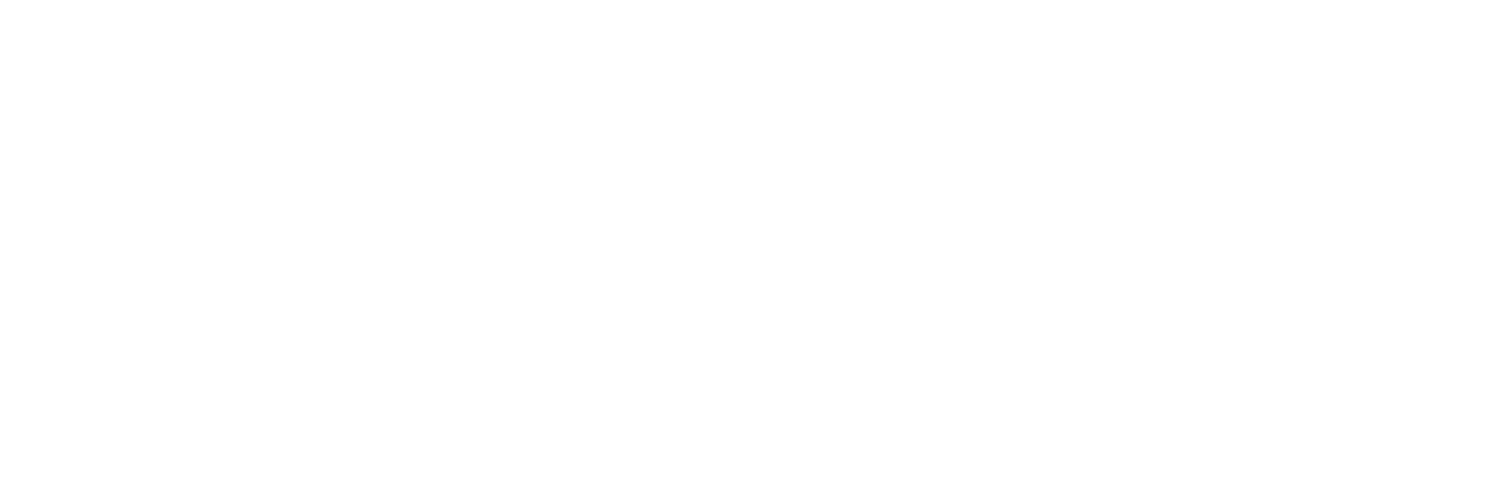 Nembo Venice Logo